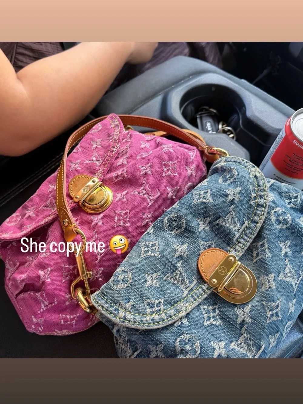 Louis Vuitton monogram pleaty bag